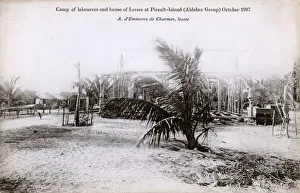 Mangrove Collection: Camp for Labourers - Picault Island, Aldabra Group