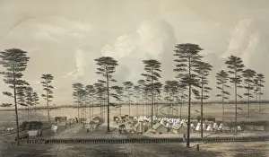 Camp of the Massachusetts Sixth Regt. Vol. Suffolk, Va