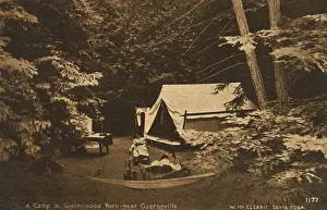 Campers Prints: Camp near Guerneville, Sonoma County, California, USA