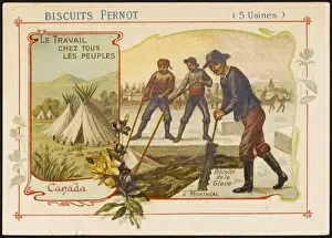 Canada - Cutting Ice