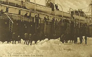 Newfoundland Prints: Canada - Newfoundland -ss Florizel at Icefields