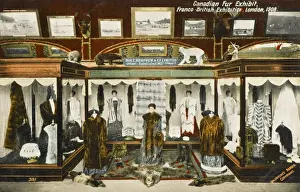 Pavilion Prints: Canadian Fur Exhibit - London Exhibition