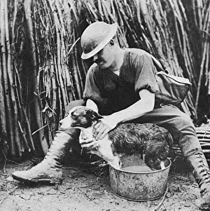 Mascots Prints: A Canadian giving his dog a bath behind the lines