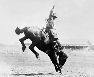Riding Gallery: Canadian Rodeo