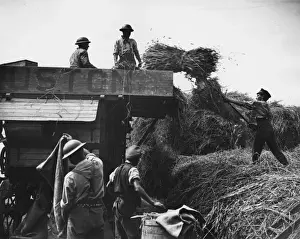 Amiens Prints: Canadian troops using Ruston threshing machine, WW1