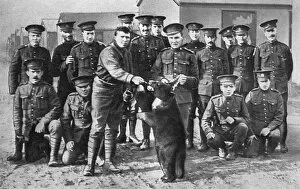 Pooh Gallery: Canadians in camp at Salisbury Plain with bear mascot