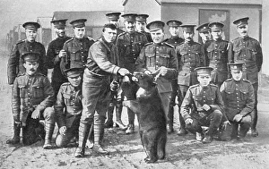 Pooh Gallery: Canadians in camp at Salisbury Plain with bear mascot