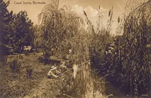 Rushes Prints: Canal Scene, Bermuda