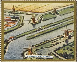 Wind Mills Prints: Canals from the Air