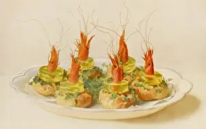 Canapes D ecrevisses