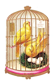 Two canaries in a cage on a cutout New Year card Two canaries in a cage on a cutout New Year card