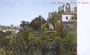 Canary Island, Gran Canaria, Las Palmas, District of Vegeta