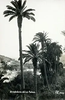 Surroundings Prints: Canary Islands - Canary Islands - The surroundings of Las Pa