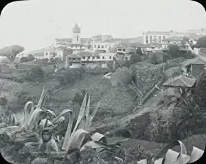 Municipality Prints: Canary Islands - Icod (de los Vinos)