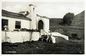 Archipelago Collection: Canary Islands - Tenerife, Las Mercedes