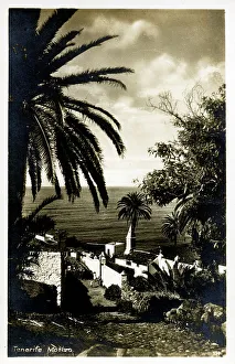 Archipelago Collection: Canary Islands - Tenerife Scenery - typical view
