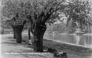 Canbury Gardens by the River