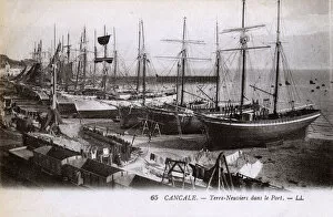 Newfoundland Gallery: Cancale, Brittany, France - Newfoundlanders in the port