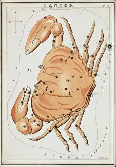 Cancer Prints: Cancer