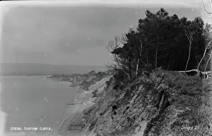 Vegetation Prints: Canford Cliffs