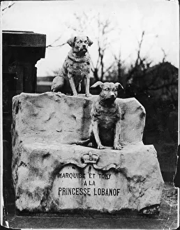 Cemeteries Prints: CANINE GRAVESTONE