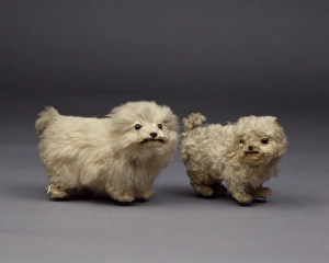 Selective Breeding