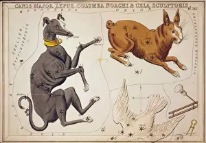 Lepus Prints: Canis Major, Lepus, Columba Noachi & Cela Sculptoris