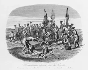Cannibalism of North America