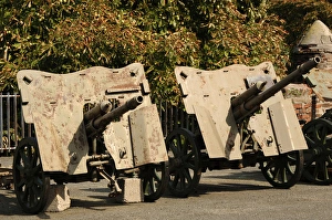 Images Dated 30th August 2007: Cannons. Military Museum. Belgrade. Serbia