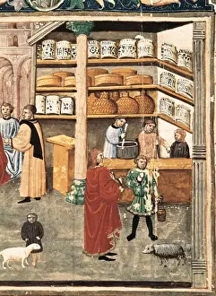 Canon of Medicine