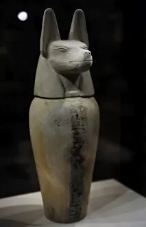 Four Collection: Canopic jar with lid in the form of a jackal: Duamutef. Egyp