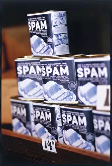 Store Collection: Cans of Spam 1940S