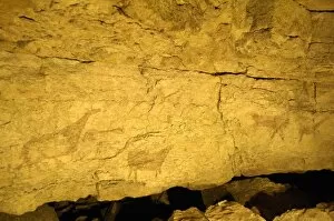 Cantabrian Collection: Cantabria. Camargo. Cave of El Pendo