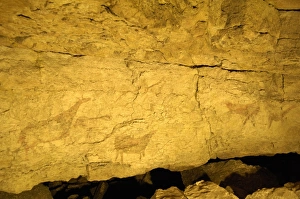Humanidad Collection: Cantabria. Camargo. Cave of El Pendo