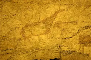 Cantabria. Camargo. Cave of El Pendo