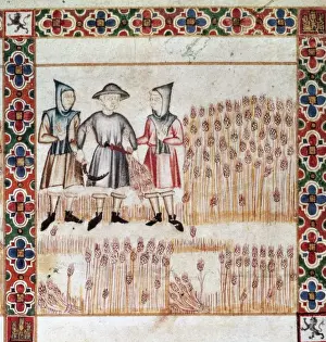Castille Prints: Canticles of Holy Mary. Men arresting a peasant