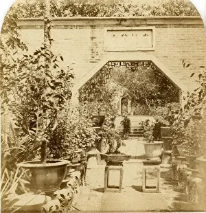 Zambra Prints: Canton. Garden of Kota