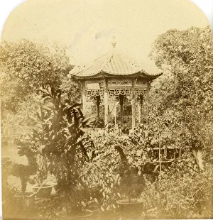Zambra Prints: Canton. Garden of How Qua