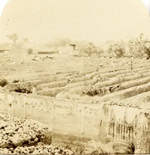 Zambra Prints: Canton, The Grounds of the Examination Hall