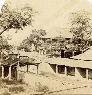 Canton. View in the grounds of the Imperial College