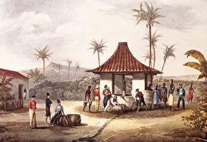 Litography Collection: Cape Verde (19th c. ). Portuguese rule. Litography