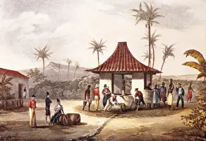 Overseas Prints: Cape Verde (19th c. ). Portuguese rule. Litography