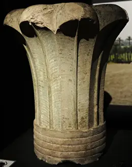Memphis Prints: Capital of a palm column. Palace of Apries, Memphis. 598-568
