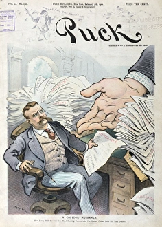 Nuisance Gallery: A capitol nuisance