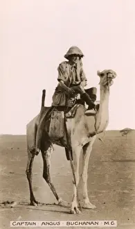Sahara Prints: Captain Angus Buchanan on a camel in Mesopotamia
