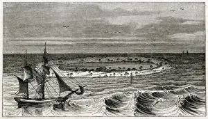 Beechey Prints: Captain Beechey at Coral Atoll