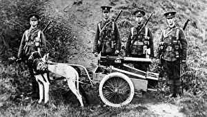 Images Dated 2nd January 2005: Captain H. Furber, of the 3rd Batt. Welsh Regiment, experiment in dog traction for machine guns
