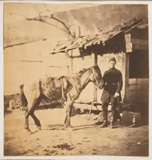 Captain Heneage, Coldstream Guards