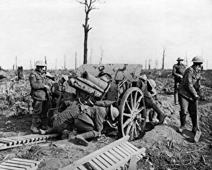 Captured Artillery