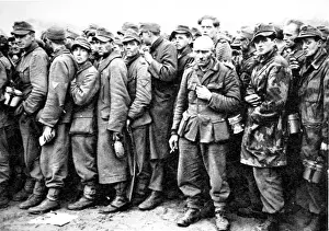Captured German Soldiers, Holland; Second World War, 1944